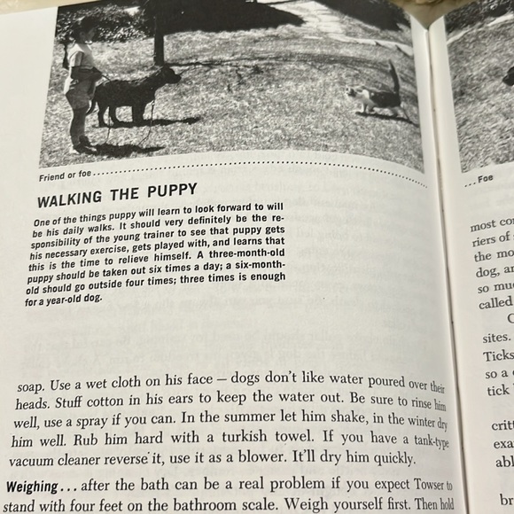 Family Dog by Richard A. Wolters HC/DJ 1975 Book - Picture 14 of 16